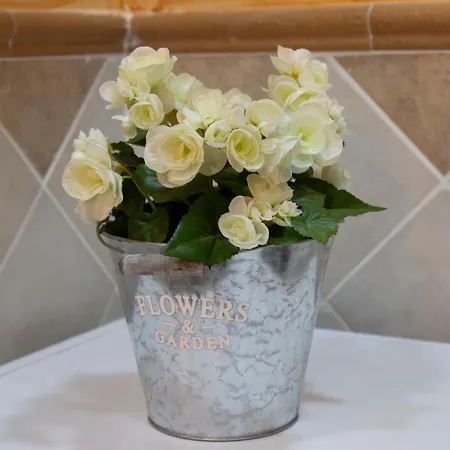 Appartement La Veguilla Deluxe Jacuzzi