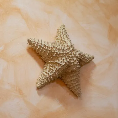 דירה La Veguilla Deluxe Jacuzzi